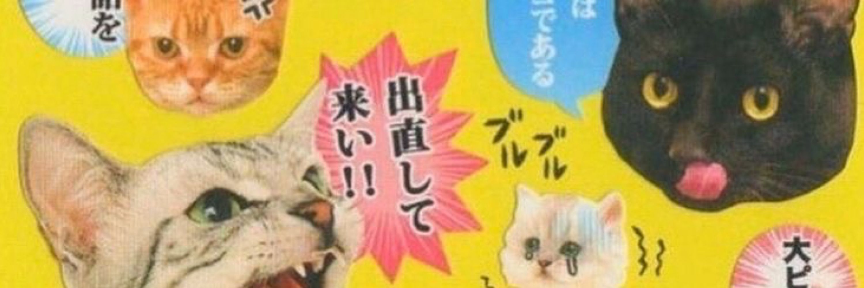JUNE ☆