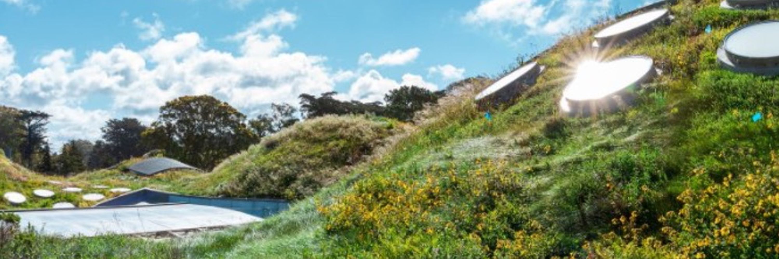 California Academy of Sciences 