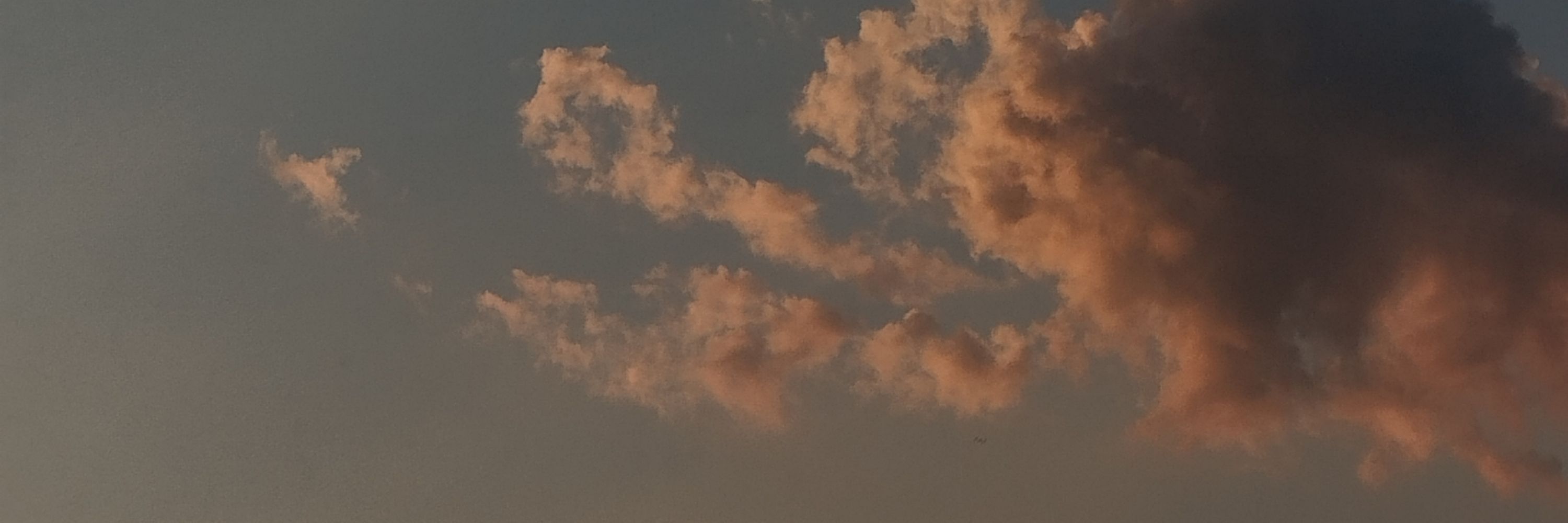 менес
