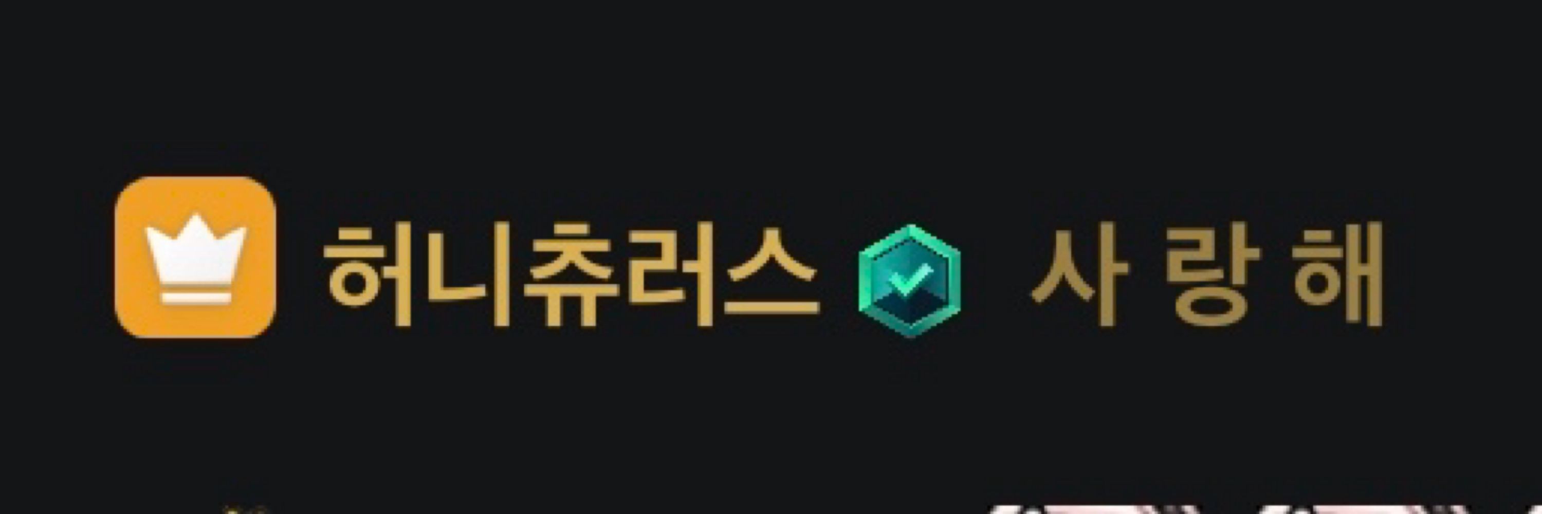 다륜🩷🍯🩵🌨️