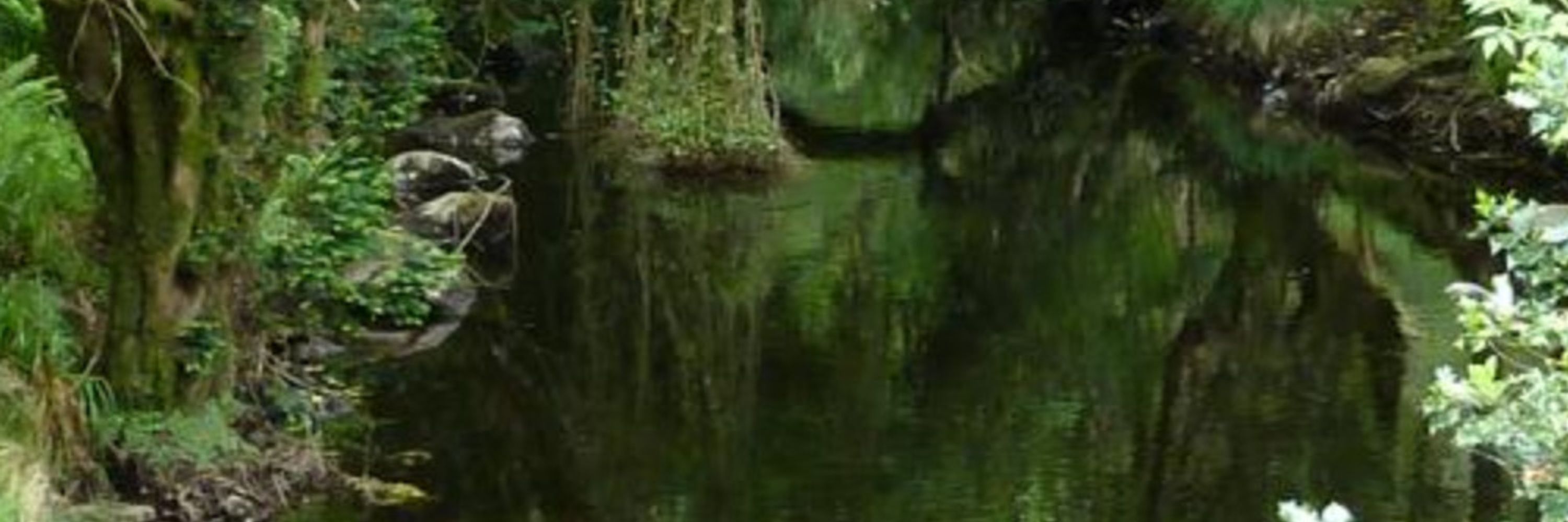bénitier