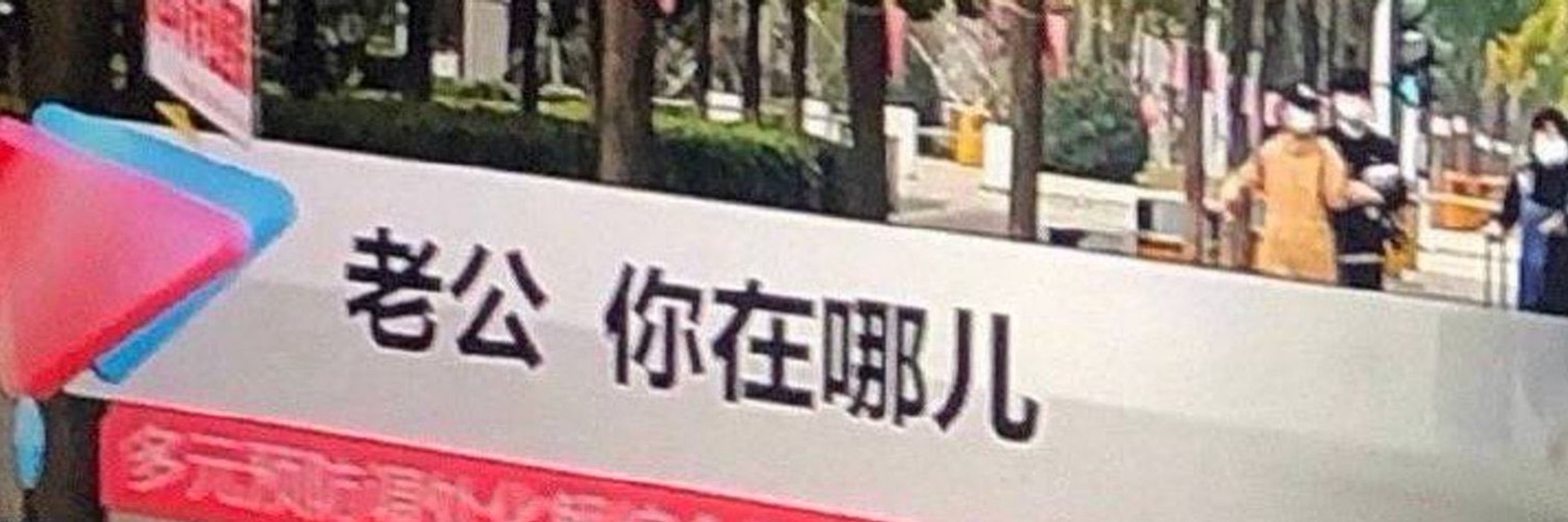 自請妃
