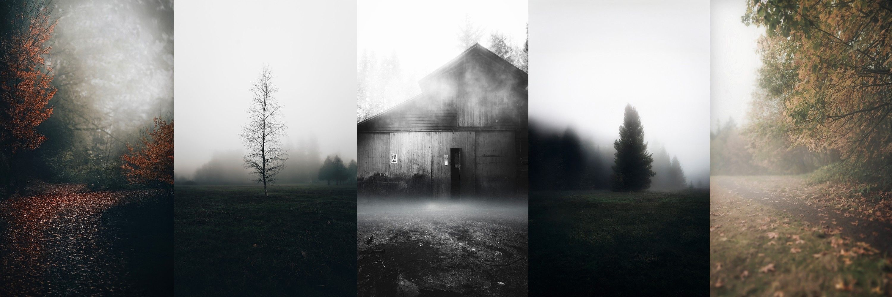 Jon Olmstead 🍂