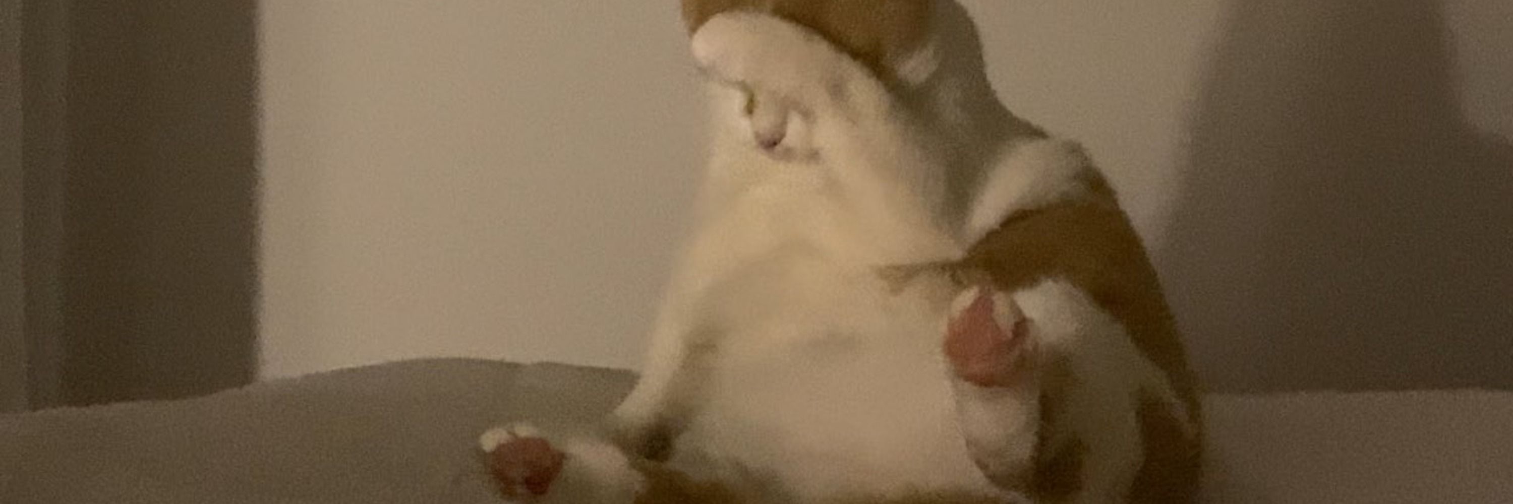 mia