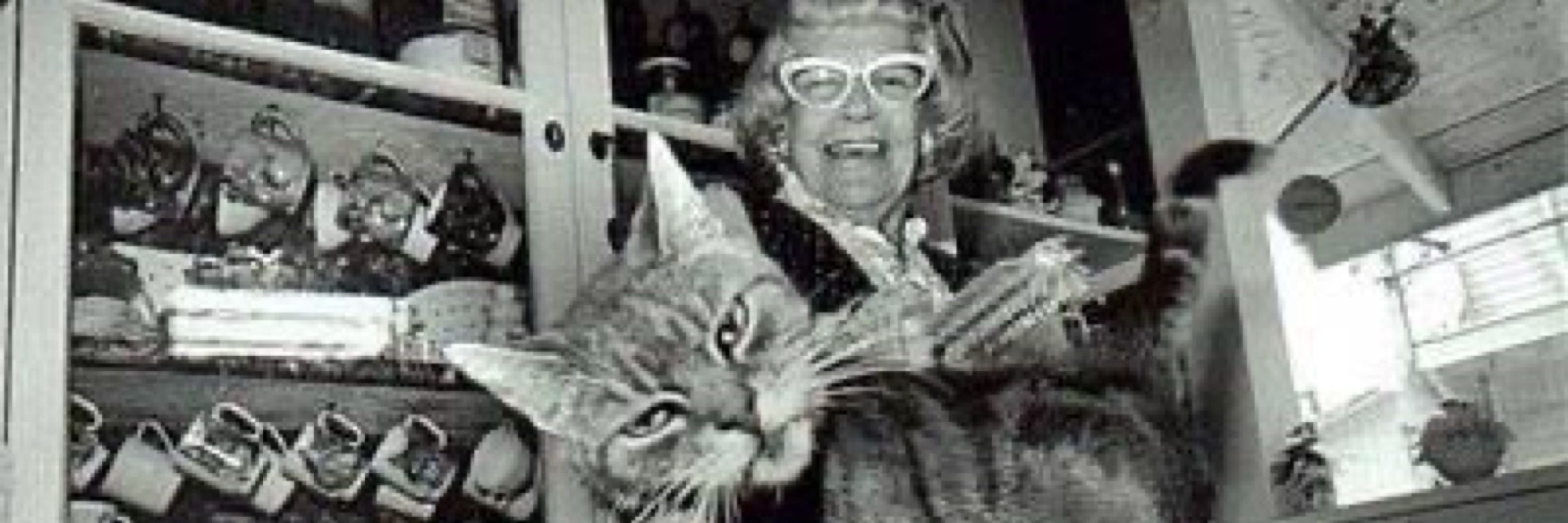 PsychoCatLady