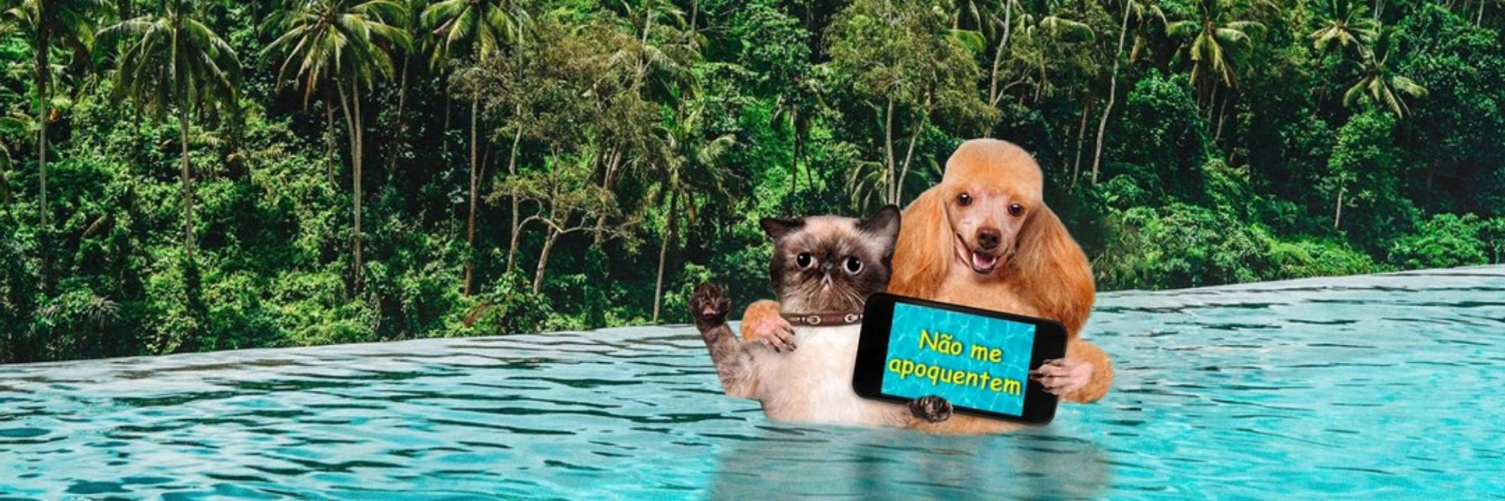 Inês