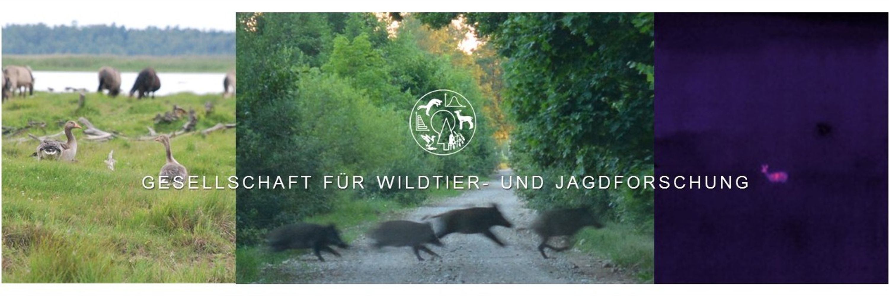 Gesellschaft für Wildtier- und Jagdforschung
