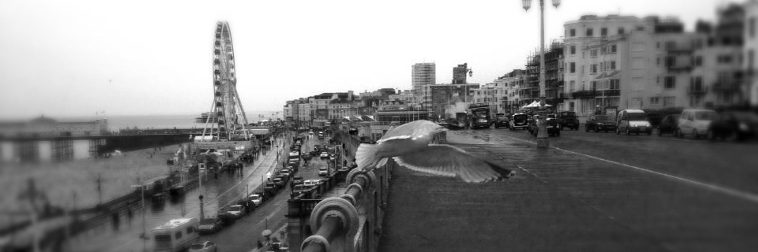 Bulut Unvan
