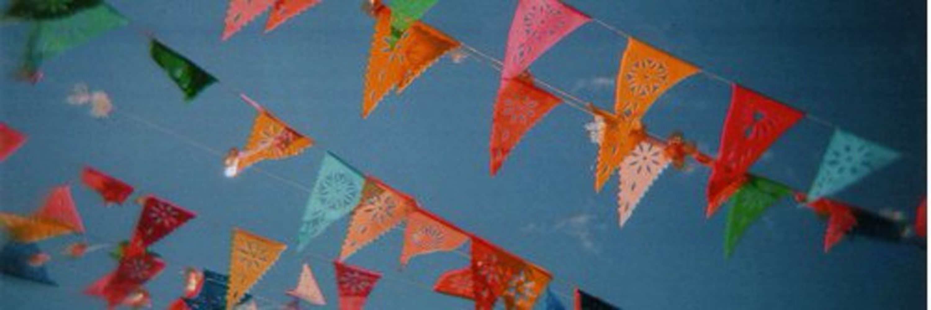 Concejala de Festejos