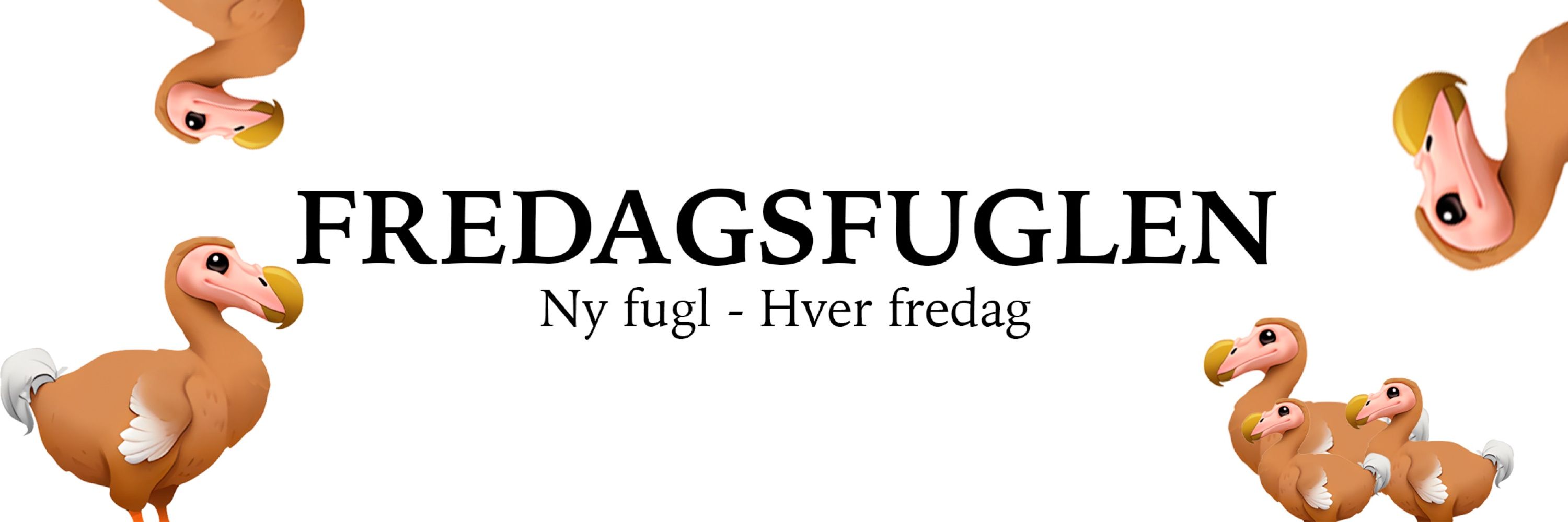 Fredagsfuglen