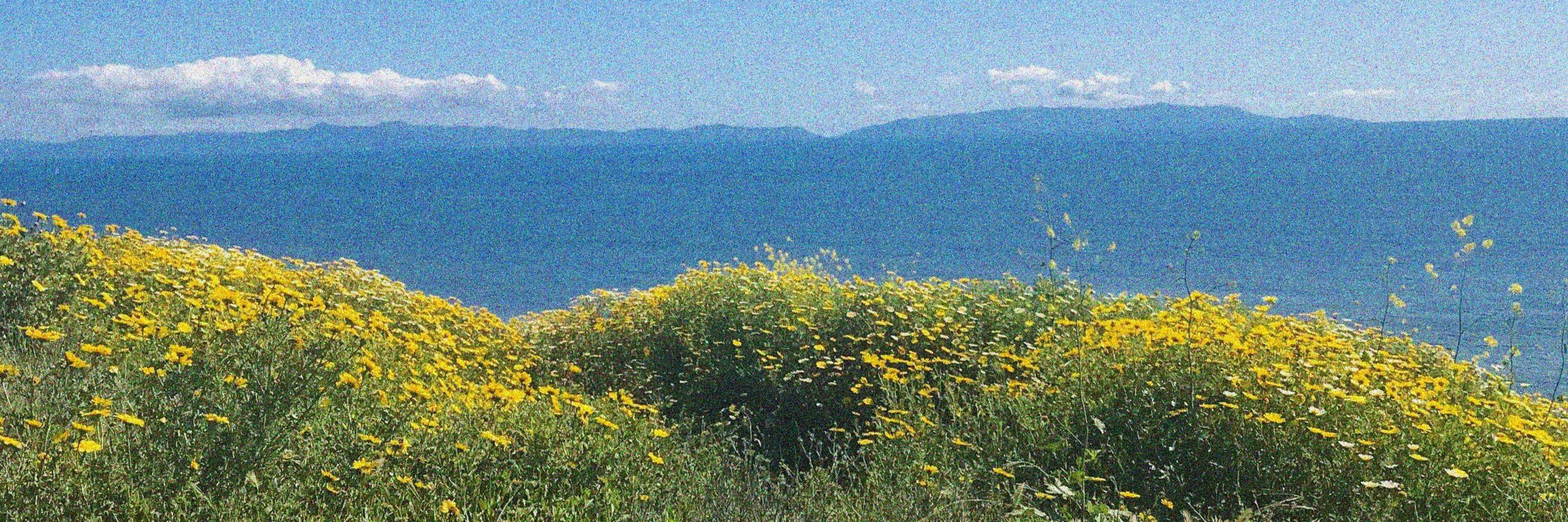 Valta