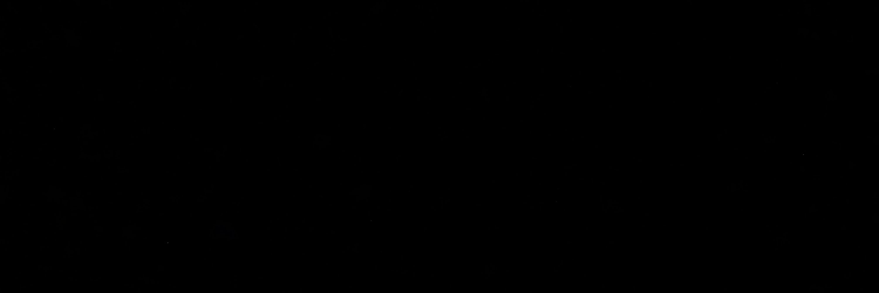 my 
