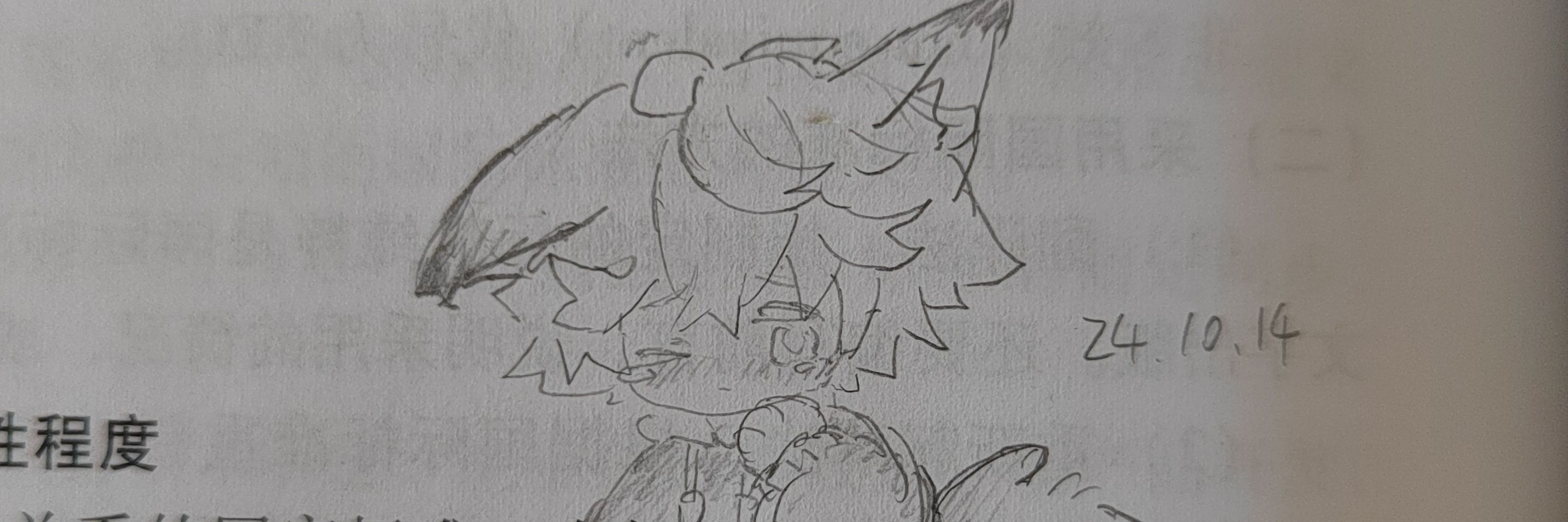 楠