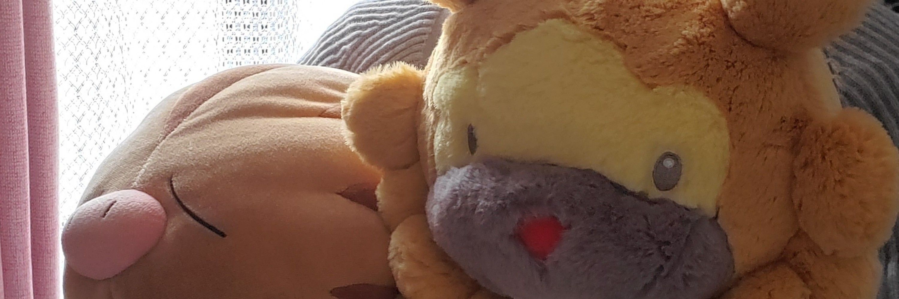 どろかけウリムー