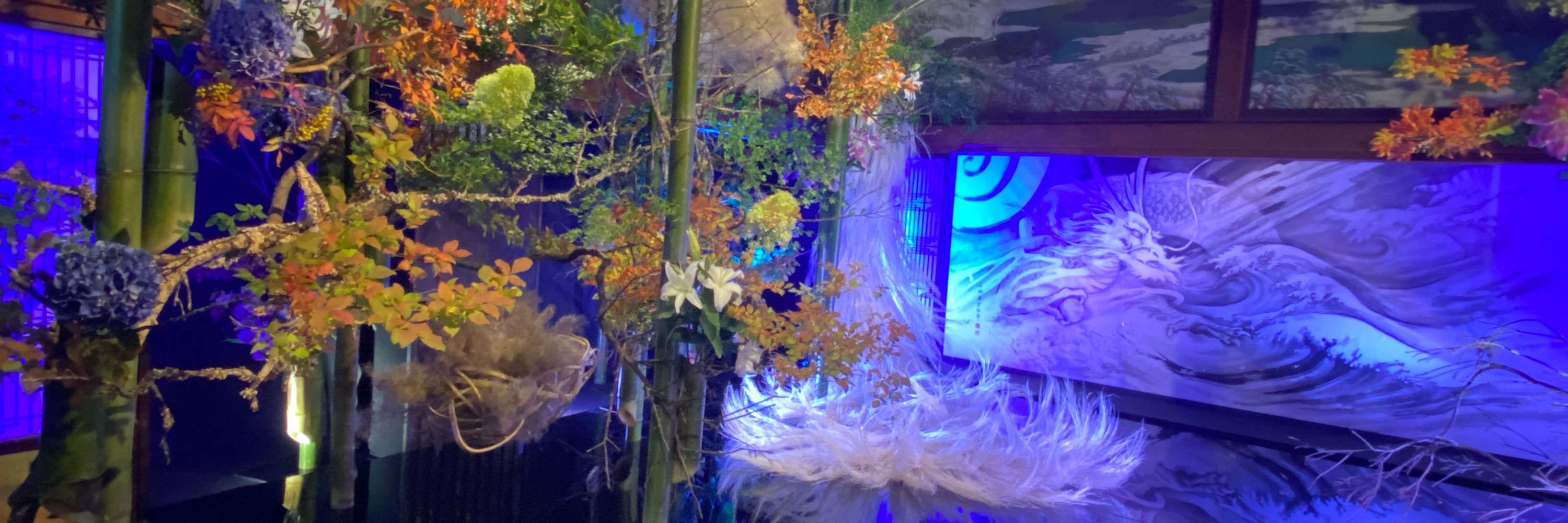 花緒🪼
