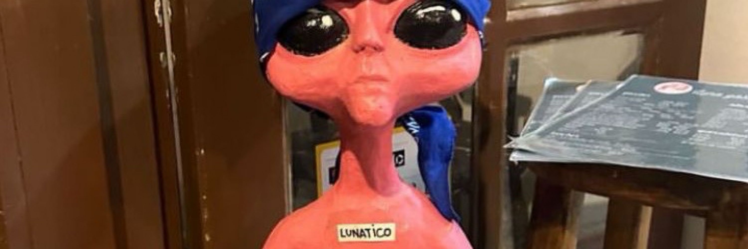🛸