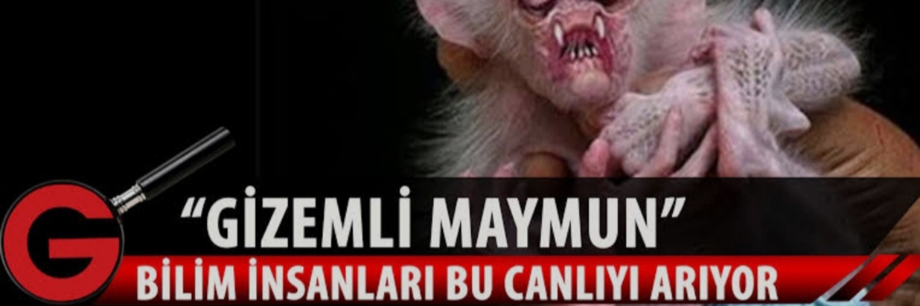 Yusuf Ç.