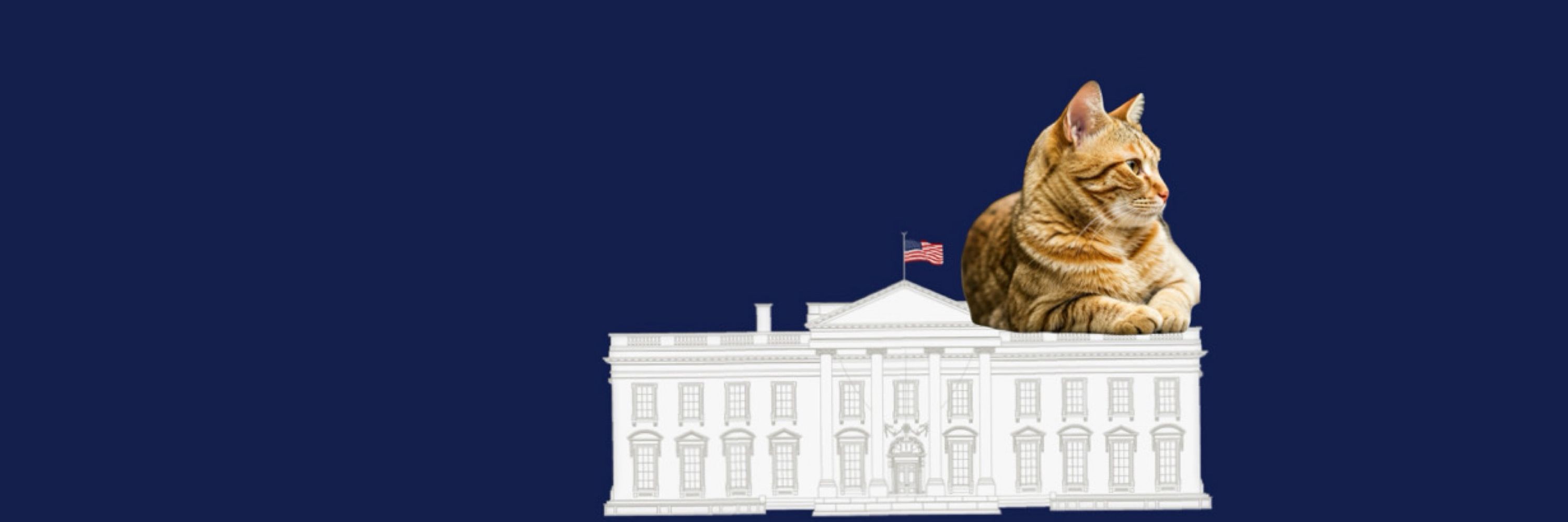 Cheeto, Donald’s Unlucky Cat