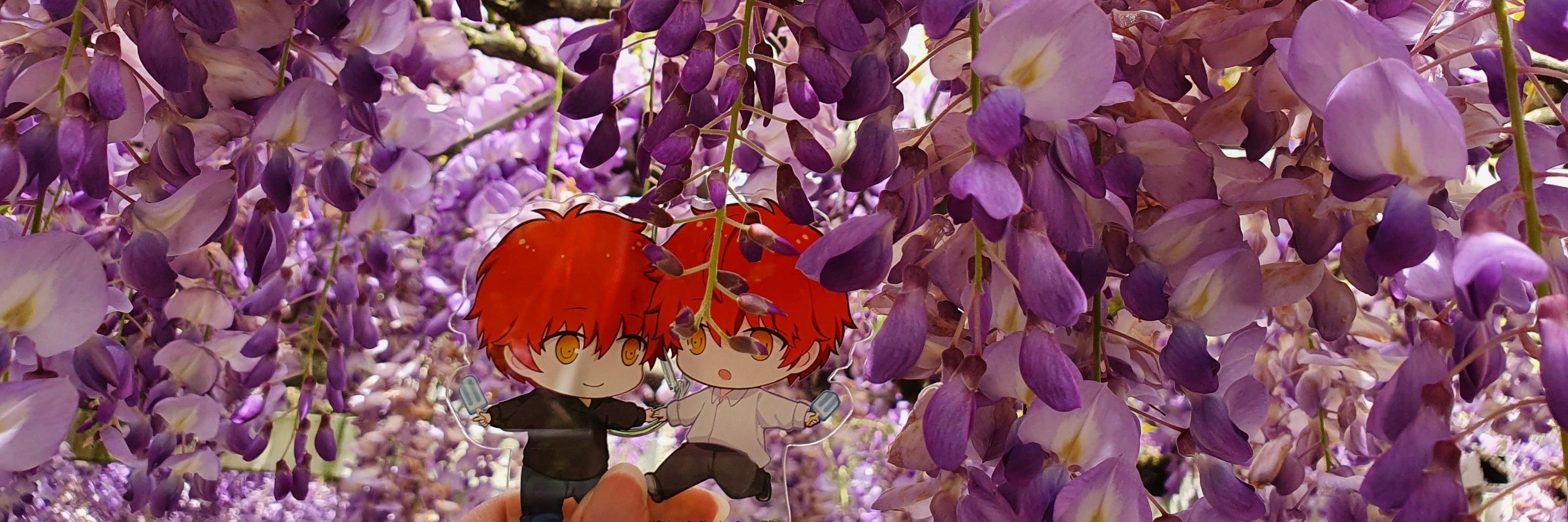 月櫻🌸월앵