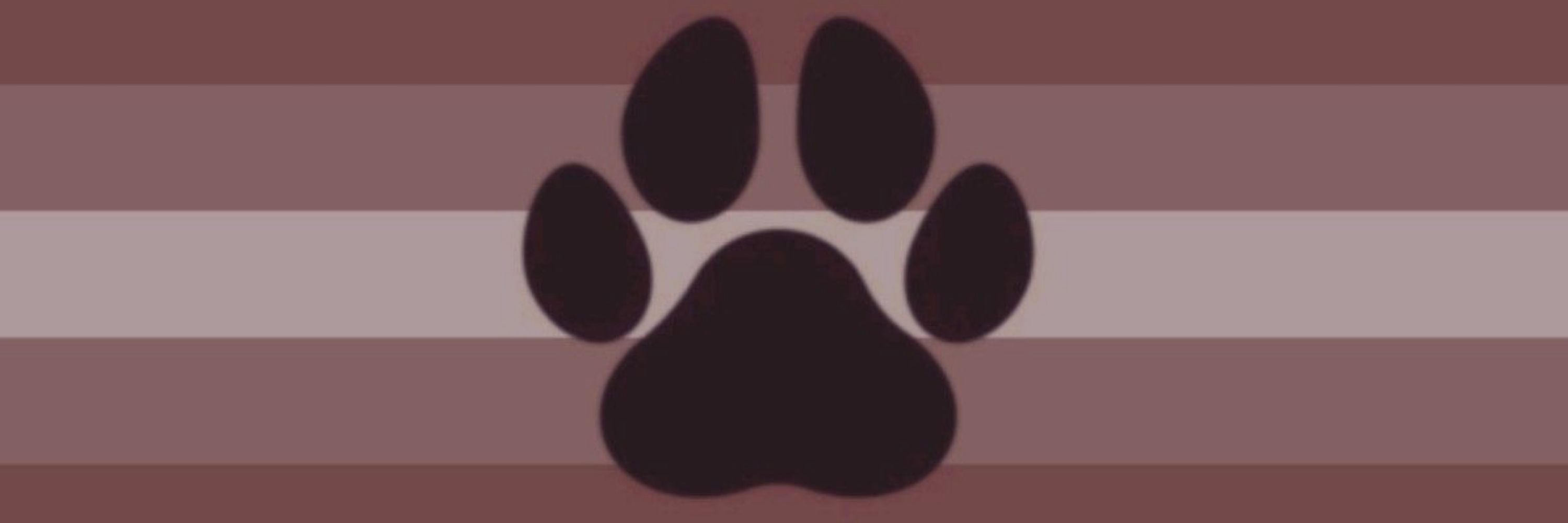 mutt ᝰ.ᐟ