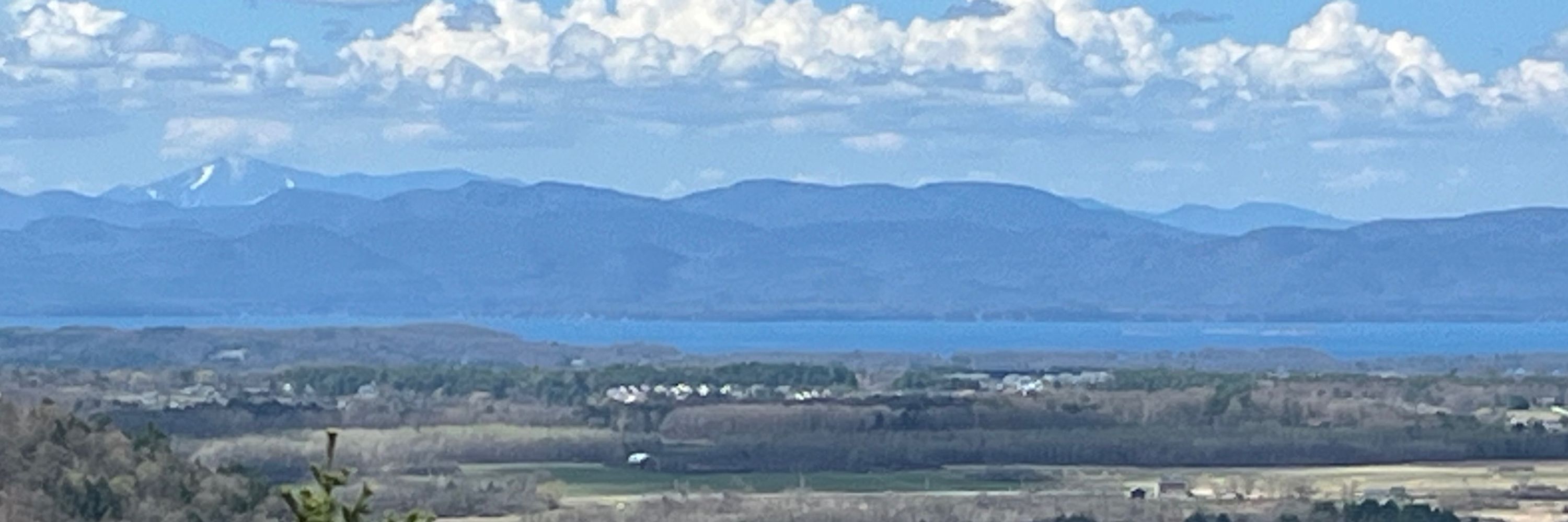 Scot