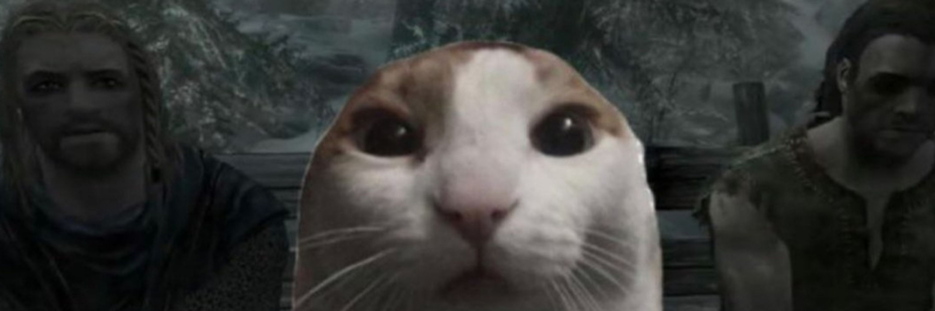 BeeferJr