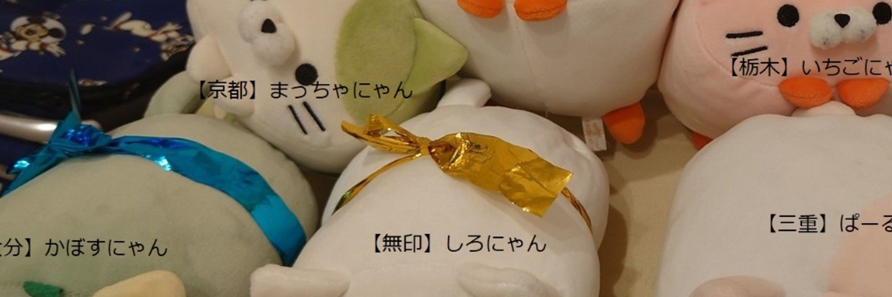 みおパパ