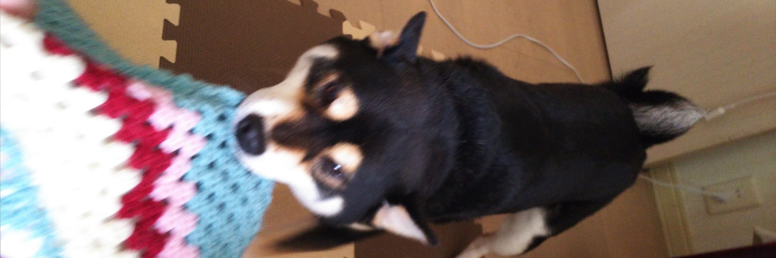 ペンチ～