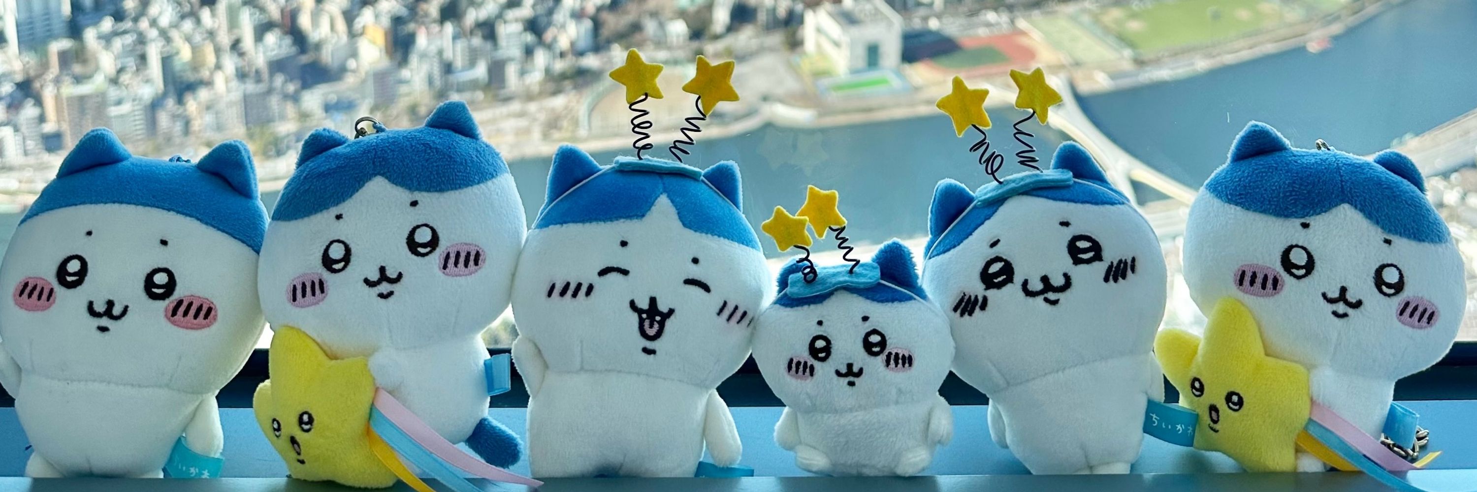 まるちゃん⸜( *´•ω•`*)⸝♥️