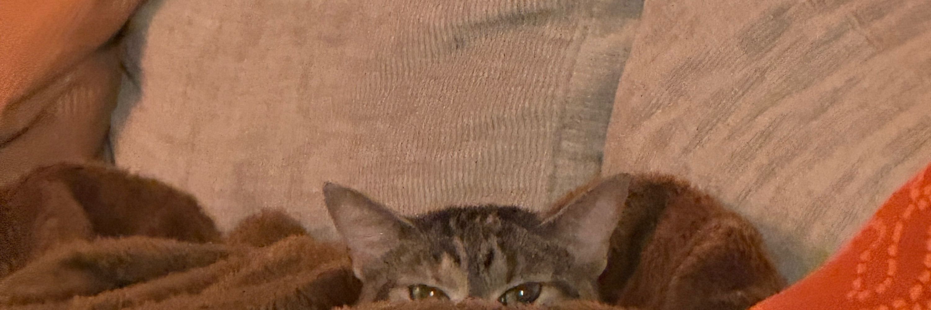 eli :)