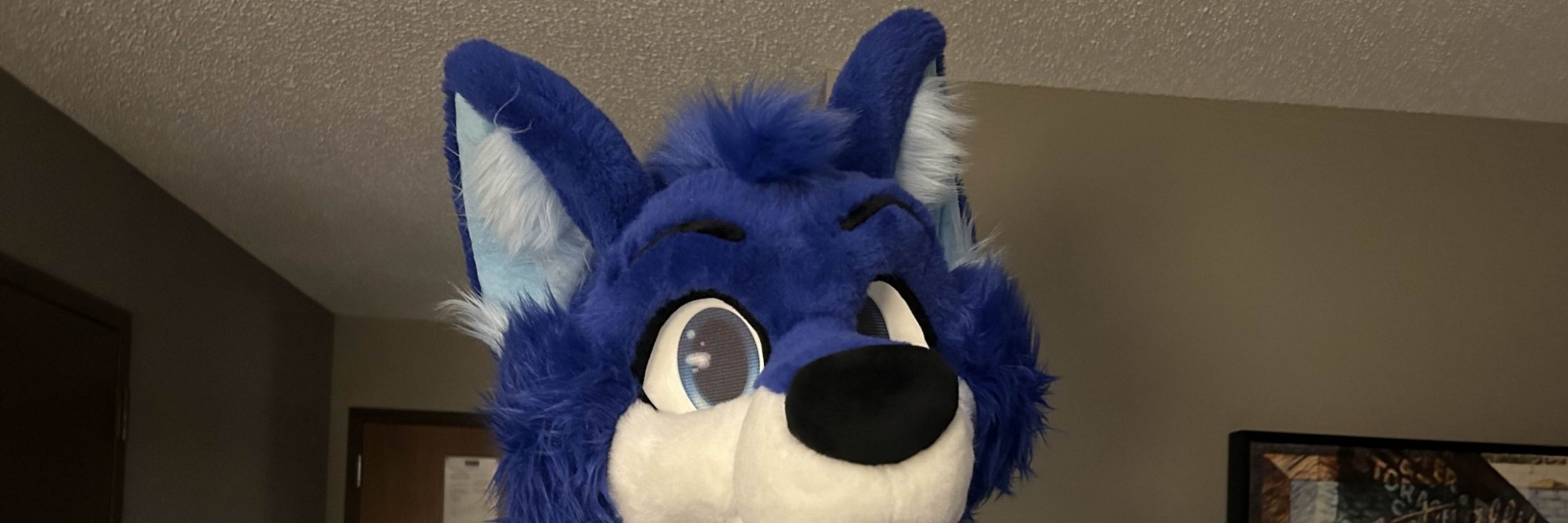 Eclipse The Dumb Dog