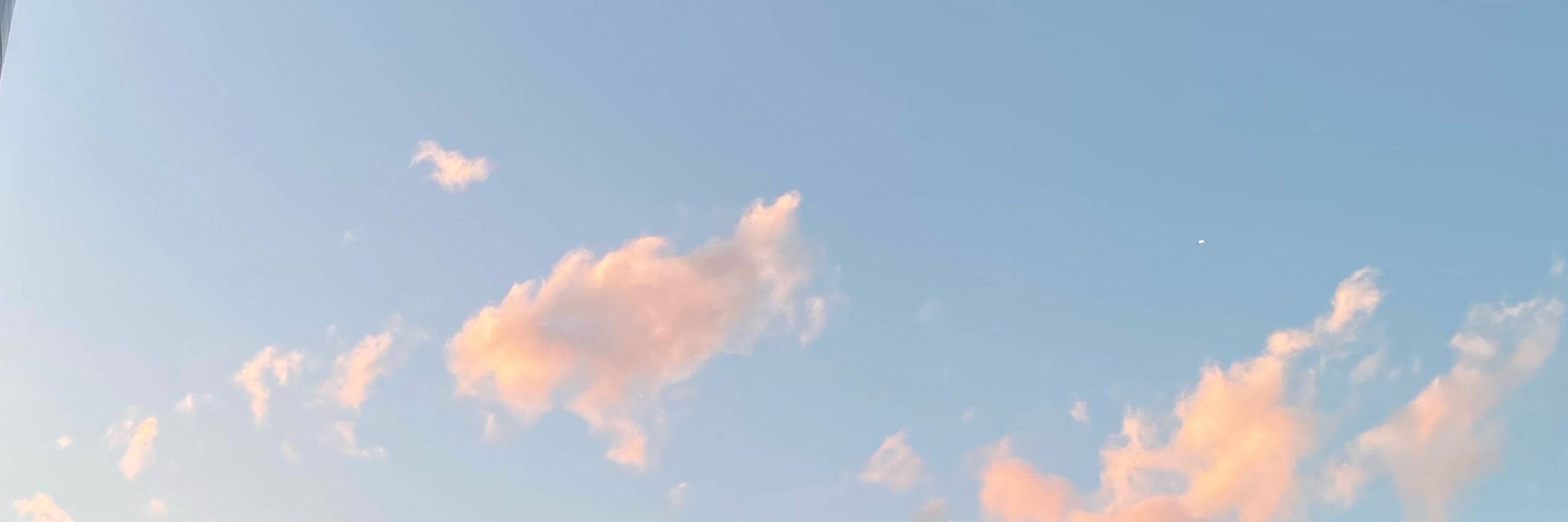 さや