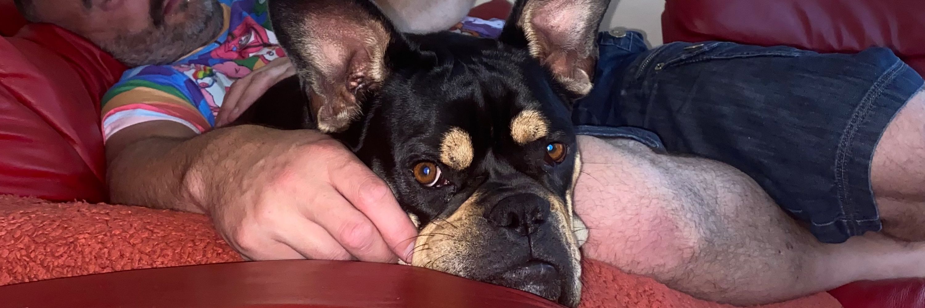 Vinnie Bones the original “Big Frenchie”