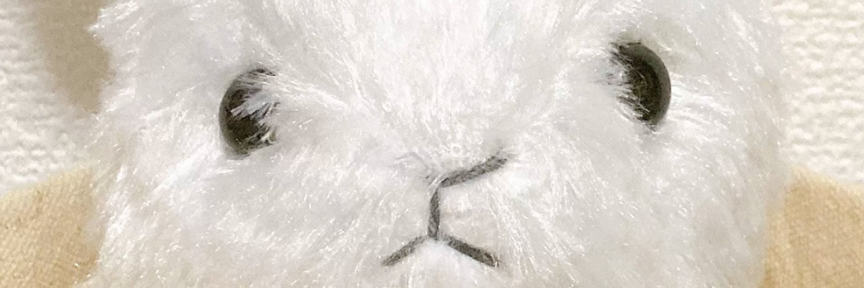 みなせ🐰.⋆
