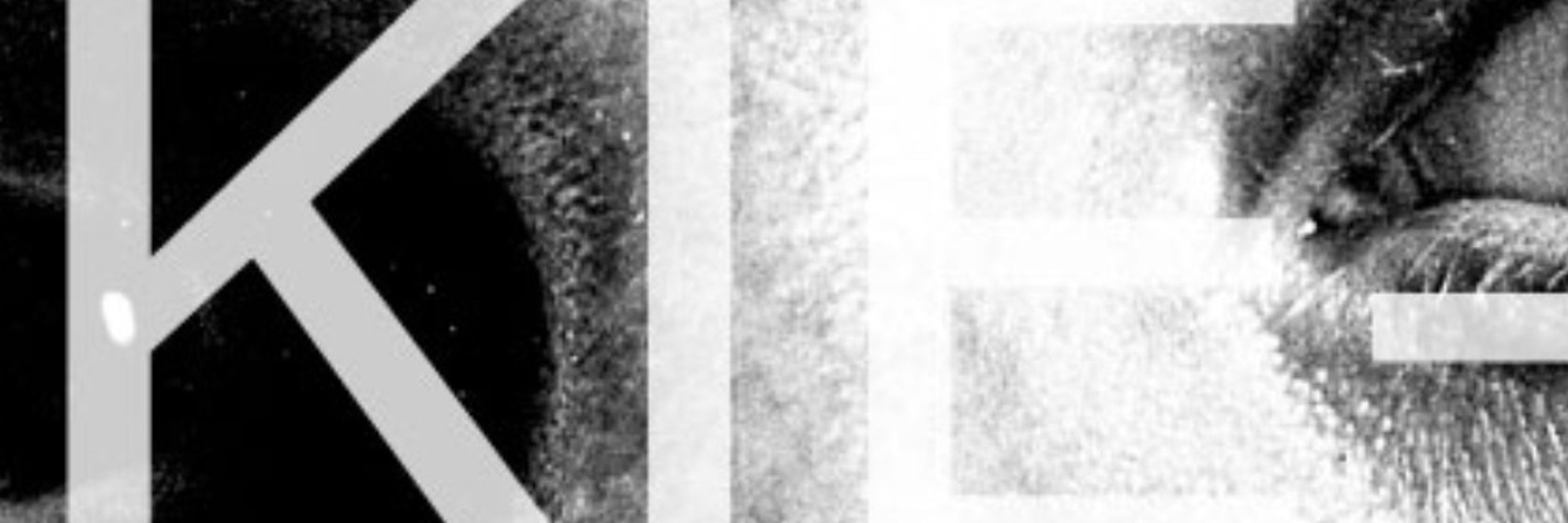 Chris J. Zähller