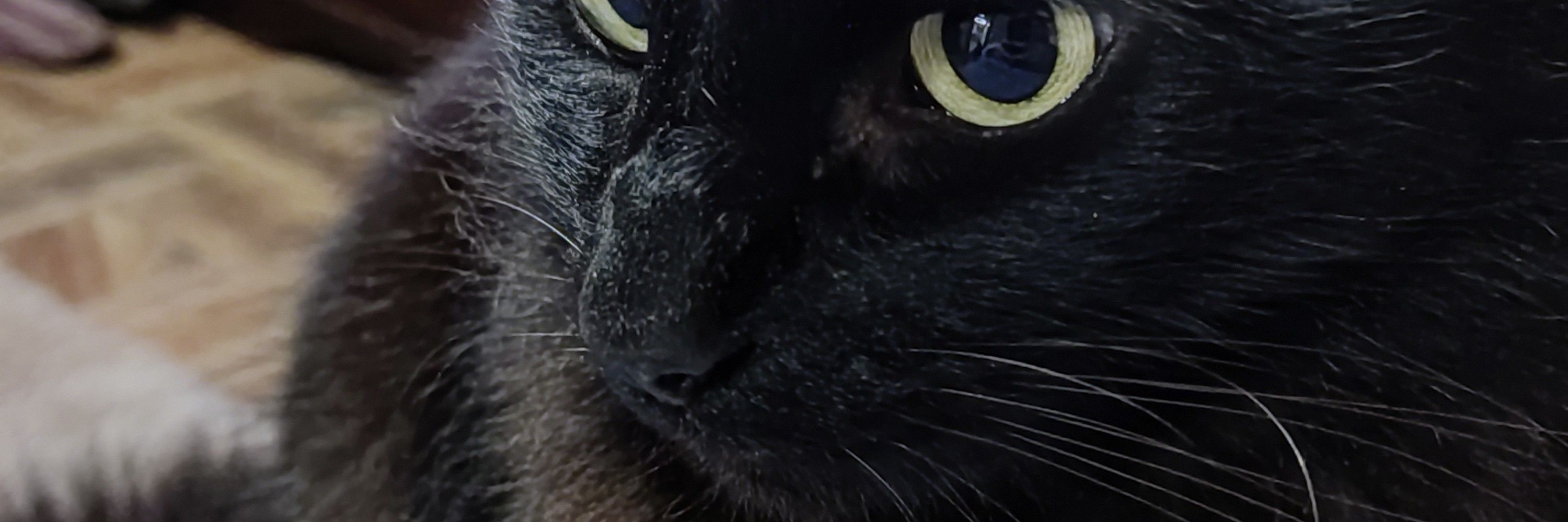 Luís 