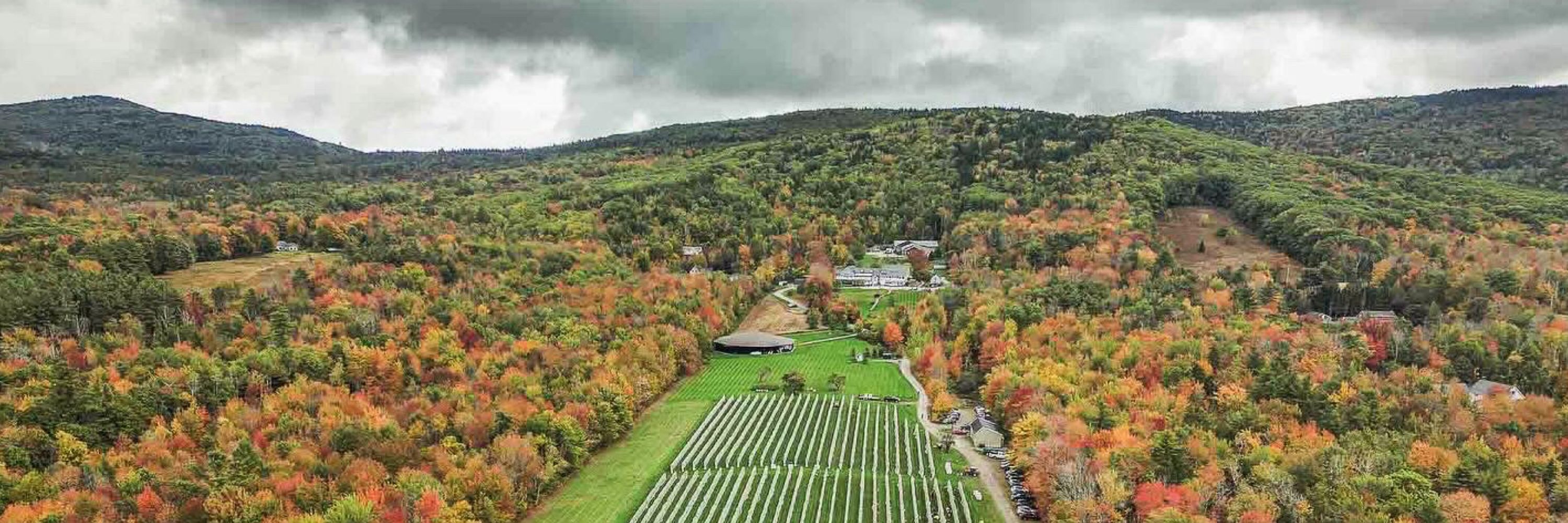 Cellardoor Winery
