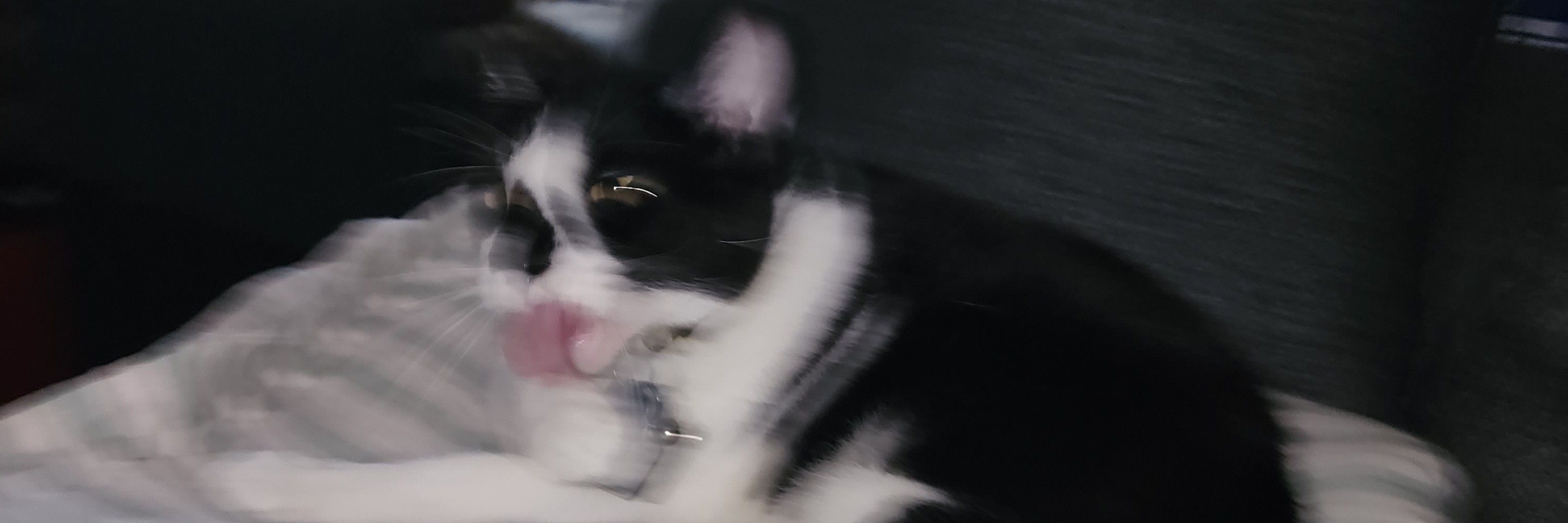 Avid Biter