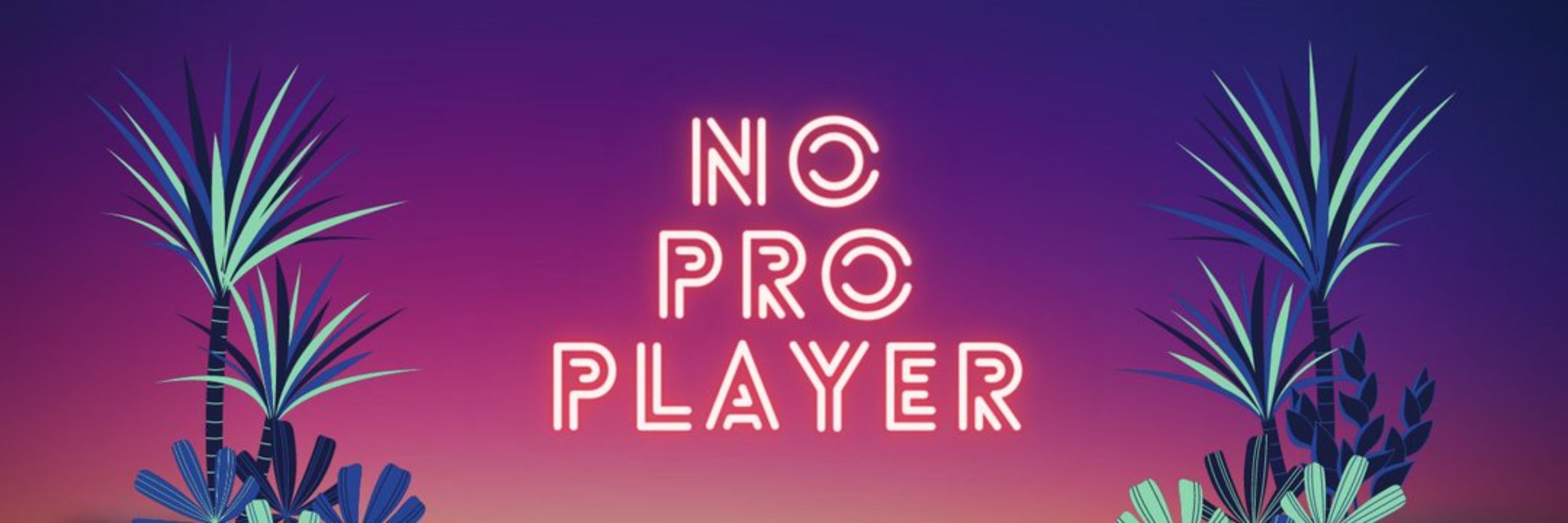 NoProPlayer