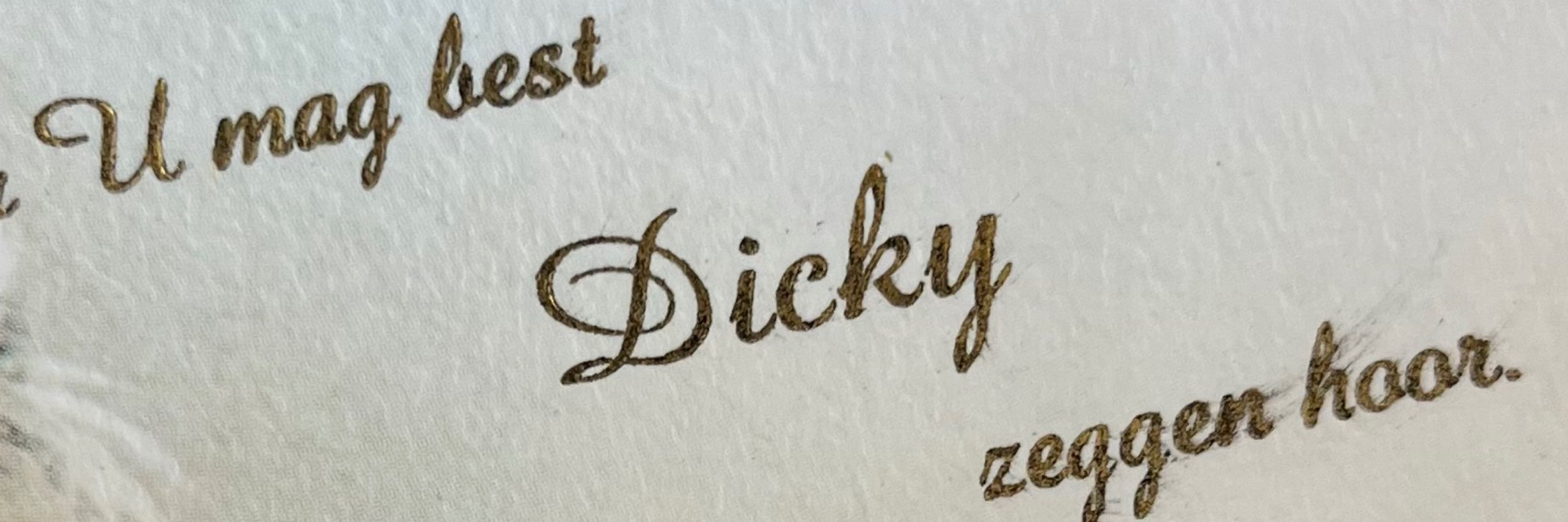 Dicky (hen/hij)