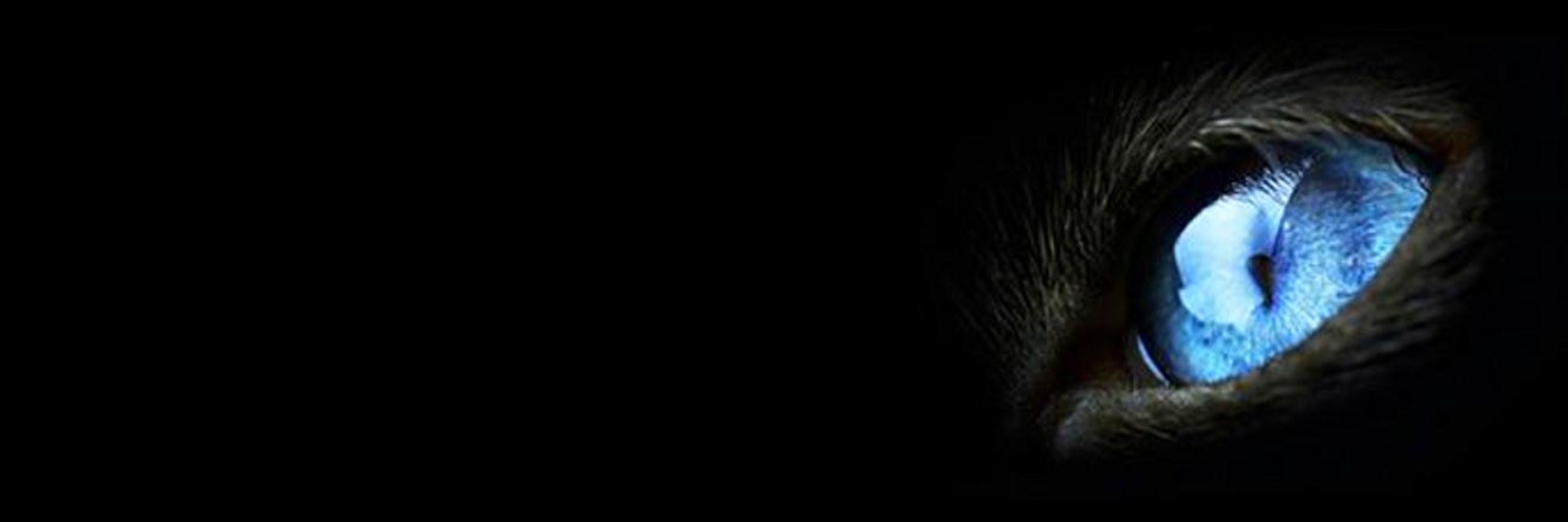 JDK Web