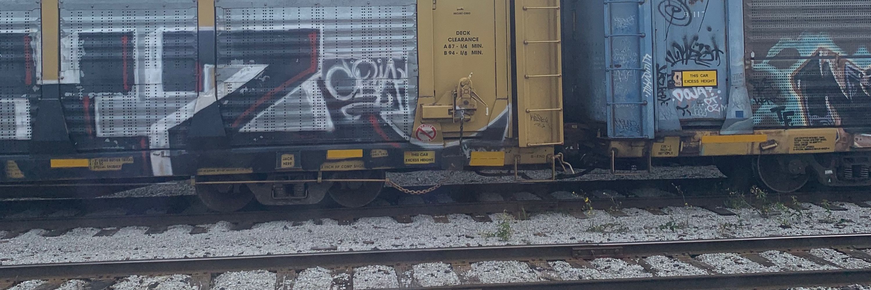 Sam