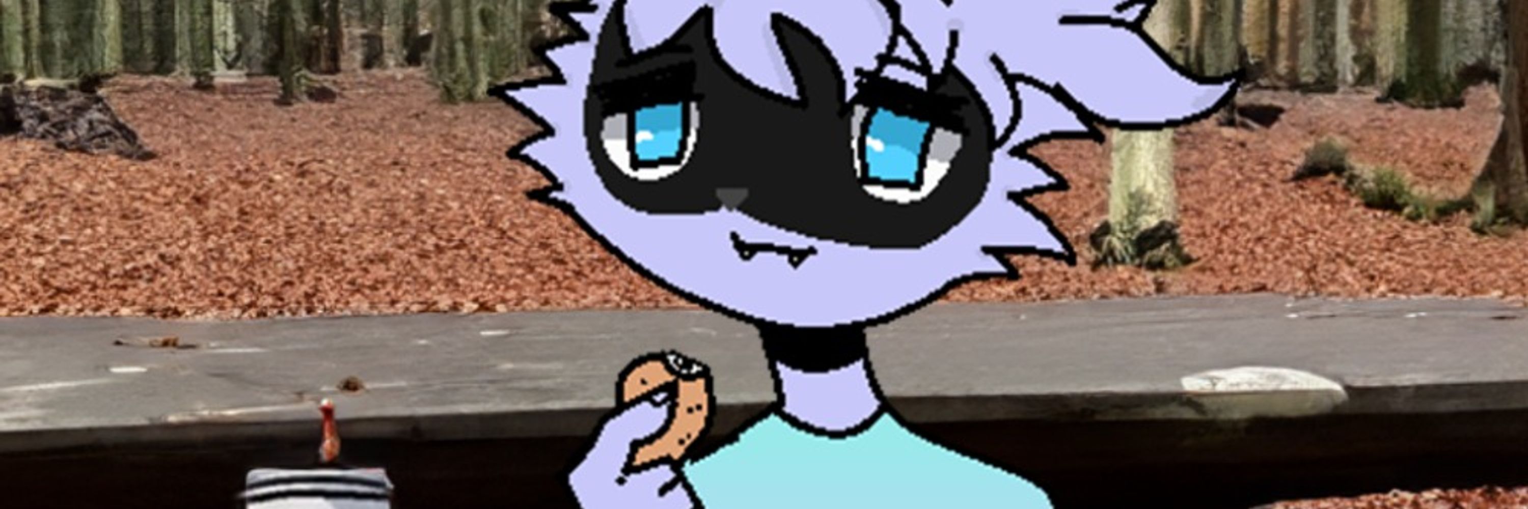 Ardee The Raccoon🏳️‍⚧️