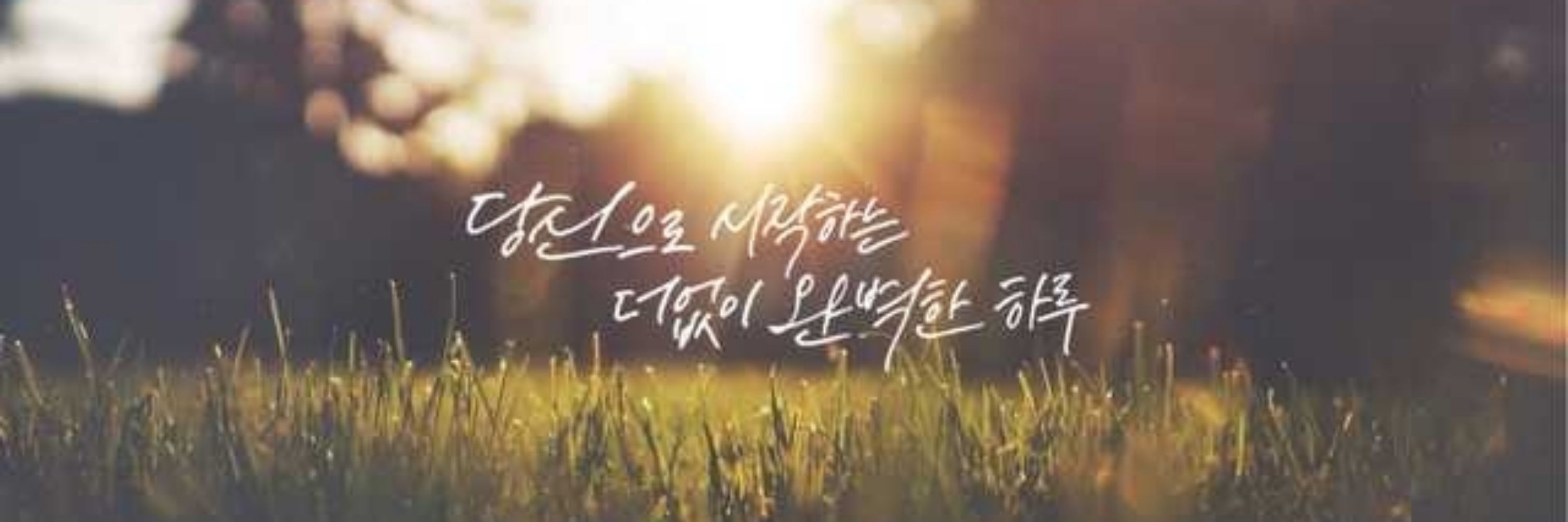 ✨️삐욤님