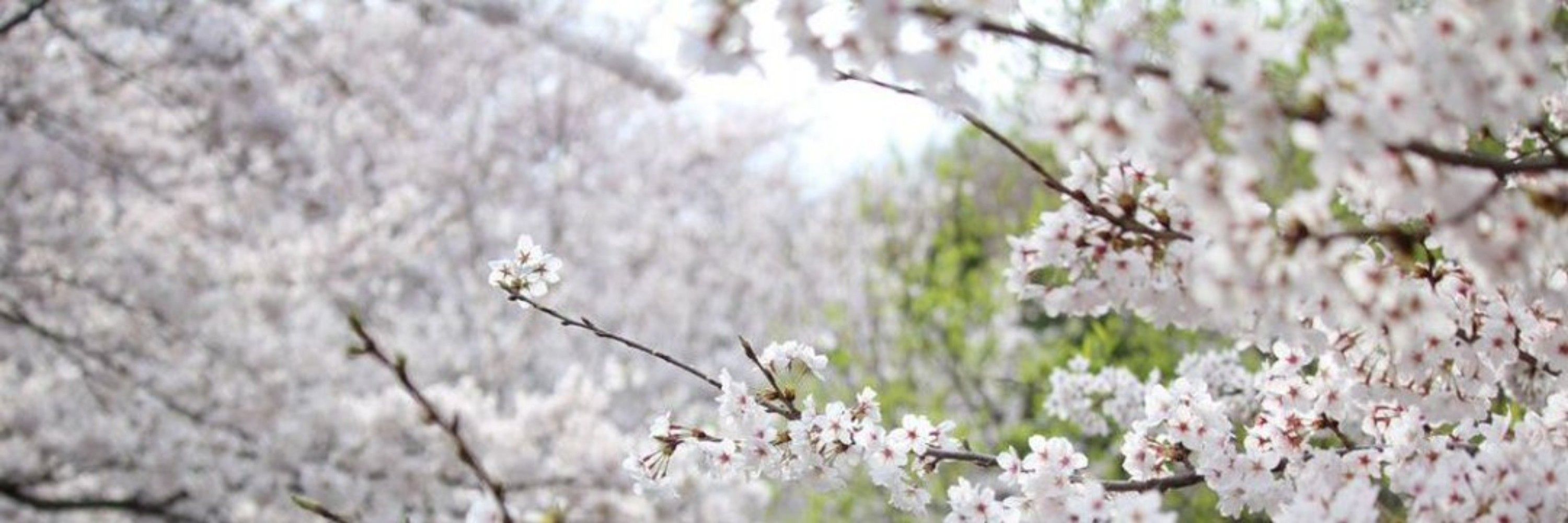 산책