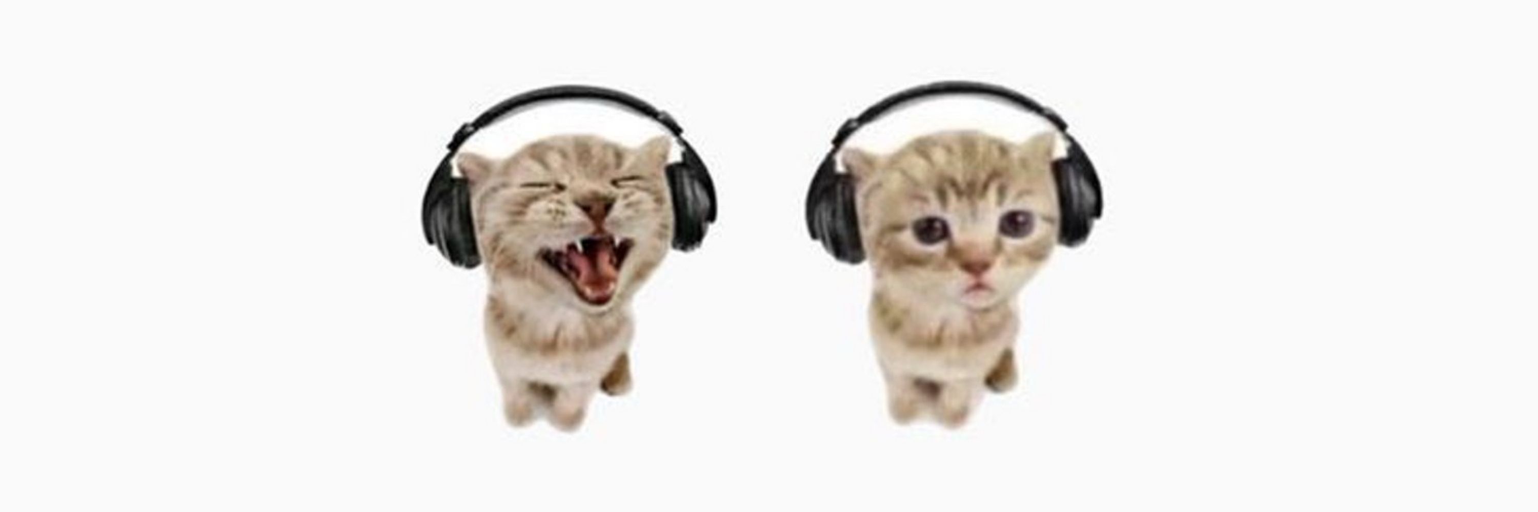 ë