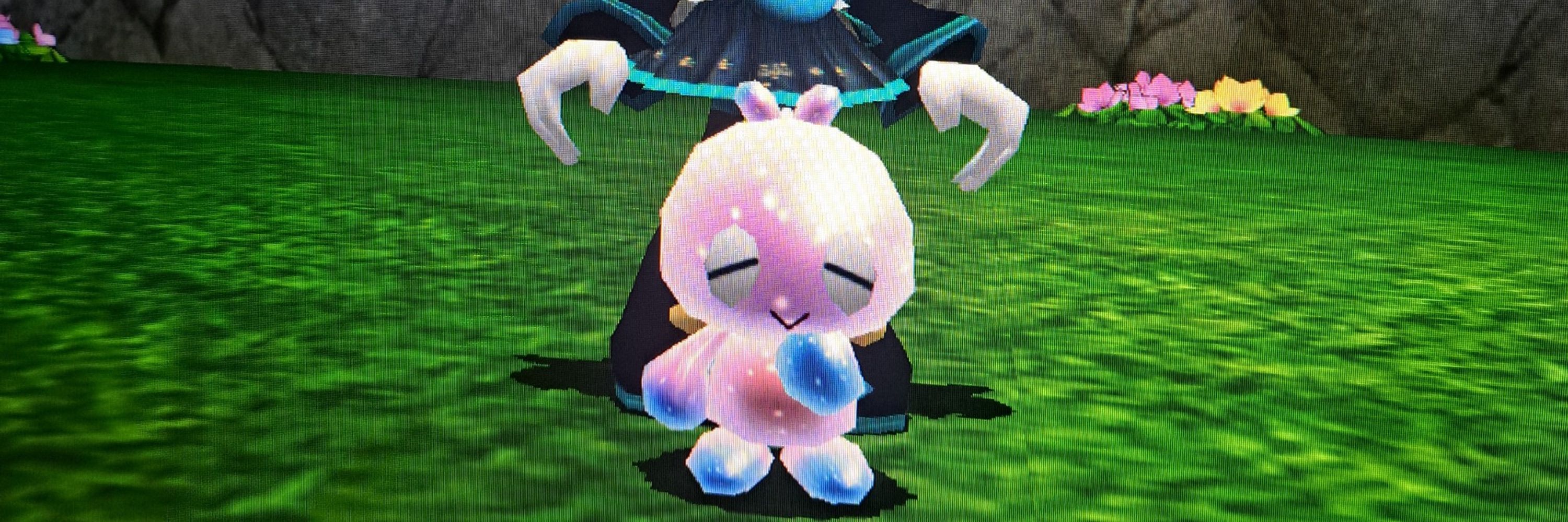 Haru