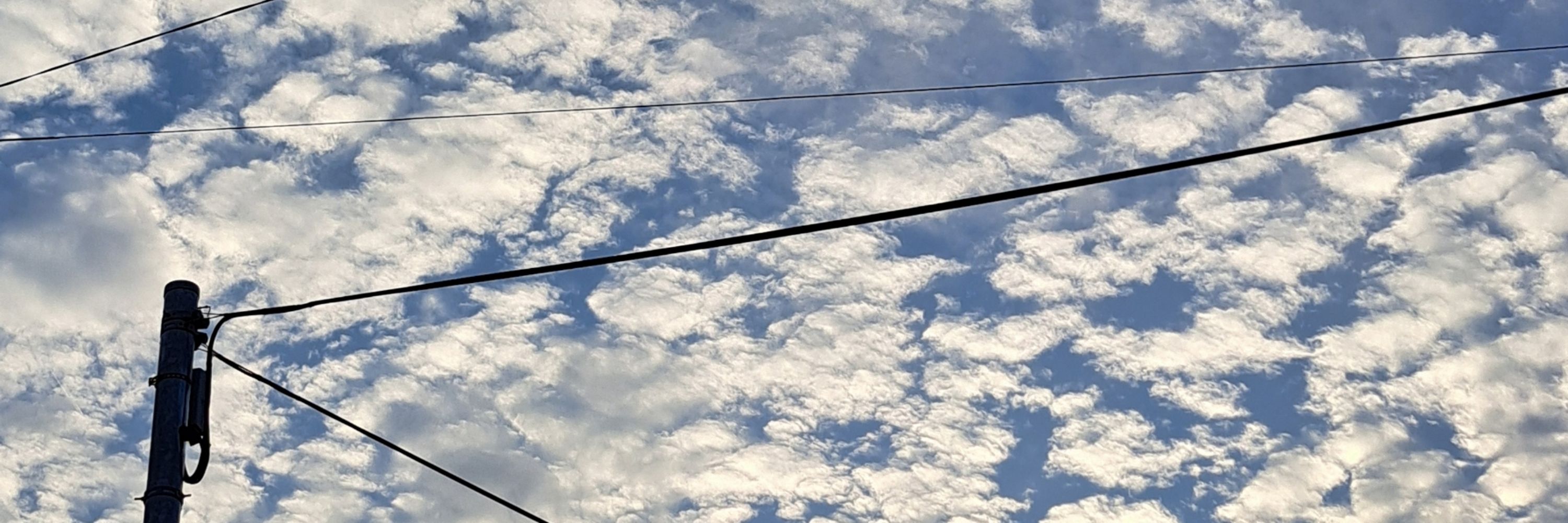 雨露亜