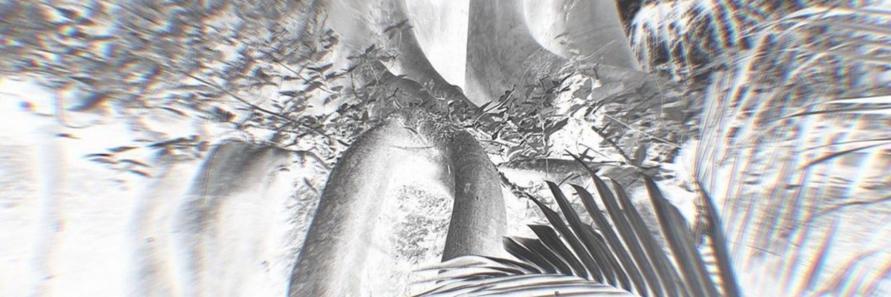 Bioratorium® – Innovating with Nature for a Sustainable Future 