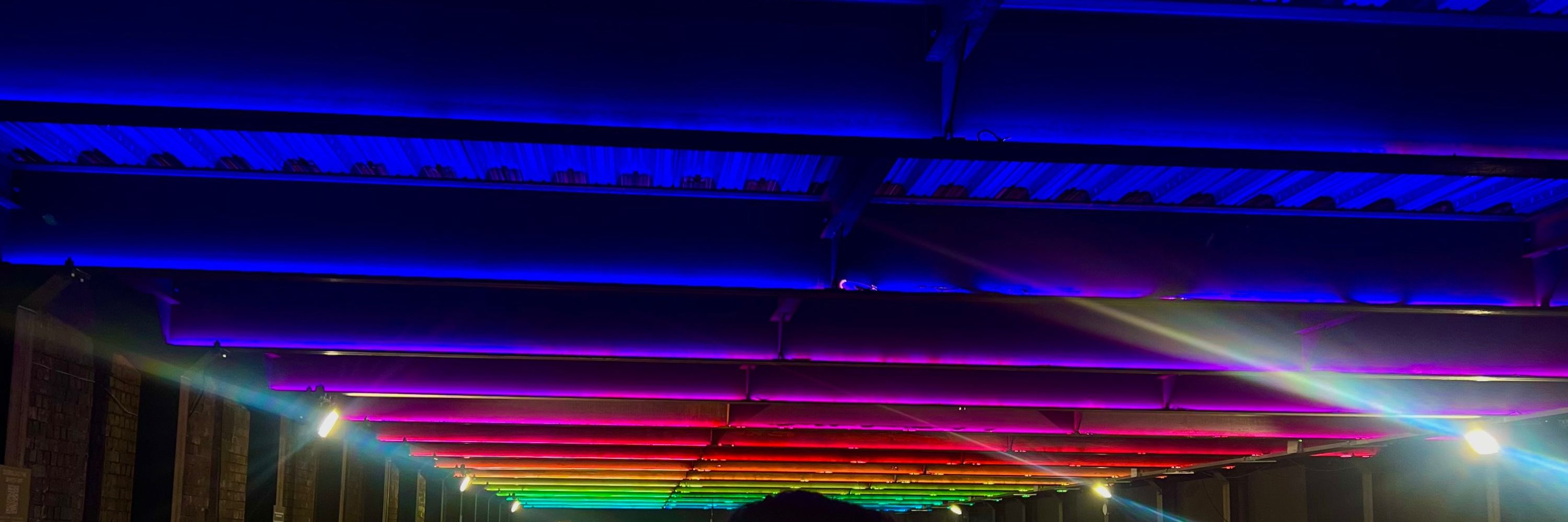 joe 🌈